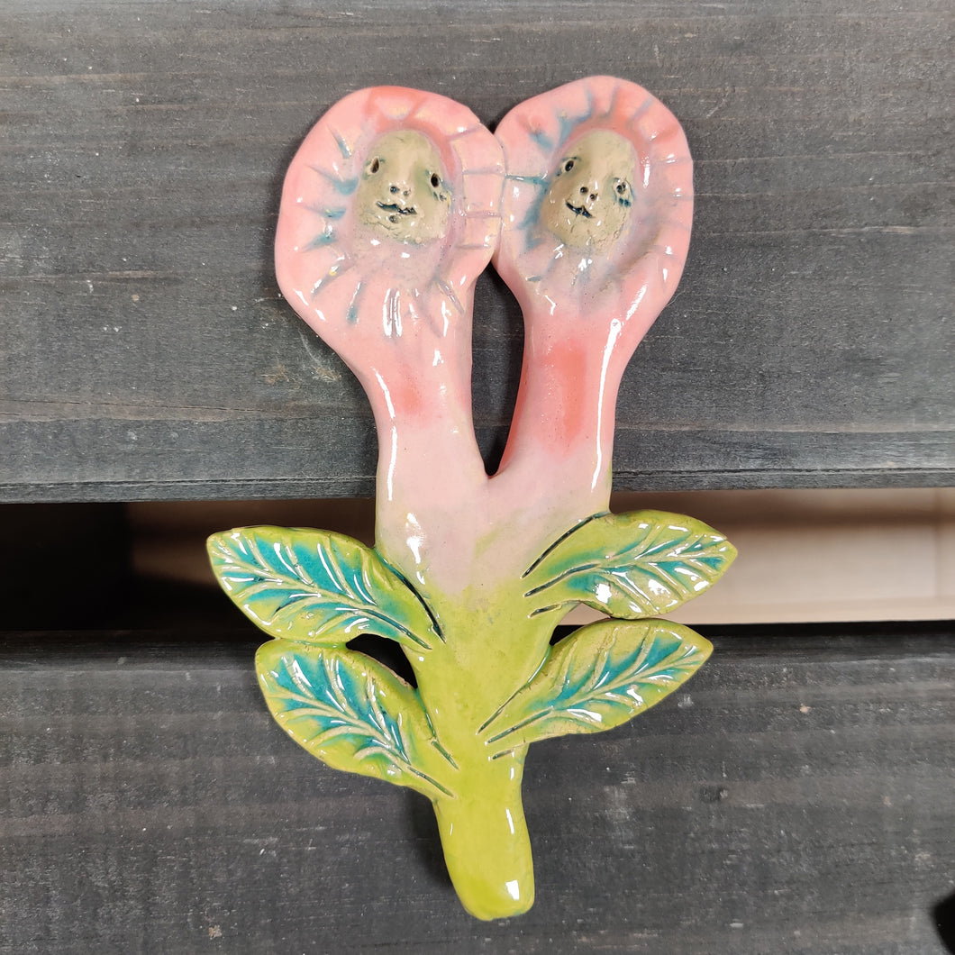 Evighedsblomst tohovedet