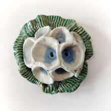 Indlæs billede til gallerivisning Funnel Flower - strange fruits