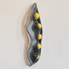 Indlæs billede til gallerivisning Yellow beans - Strange Fruits