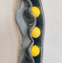 Indlæs billede til gallerivisning Yellow beans - Strange Fruits