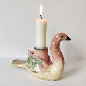Fuglestagen Swan