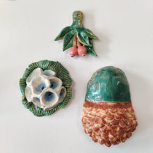 Indlæs billede til gallerivisning Funnel Flower - strange fruits