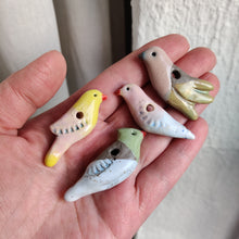 Indlæs billede til gallerivisning Små Grenfugle team nr.2
