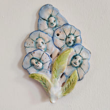Indlæs billede til gallerivisning Evighedsblomst family